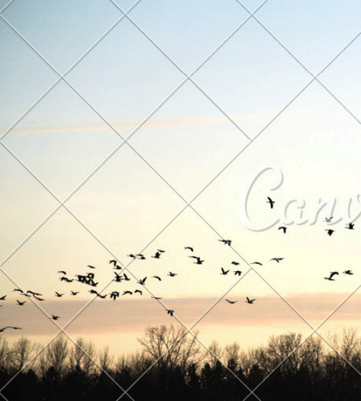 Screenshot_189